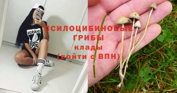 соль курить ск Абаза