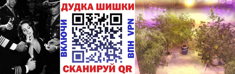 Бошки марихуана Bruce Banner Троицк